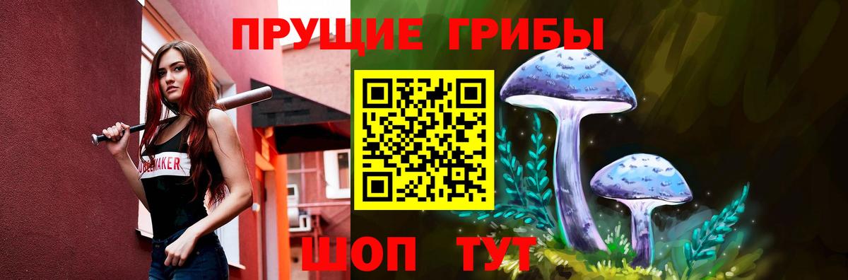 Карачаевск  Галлюциногенные грибы Magic Shrooms  Вход с VPN  Галлюциногенные грибы мицелий 