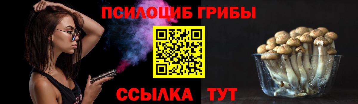 Галлюциногенные грибы MAGIC MUSHROOMS Карачаевск