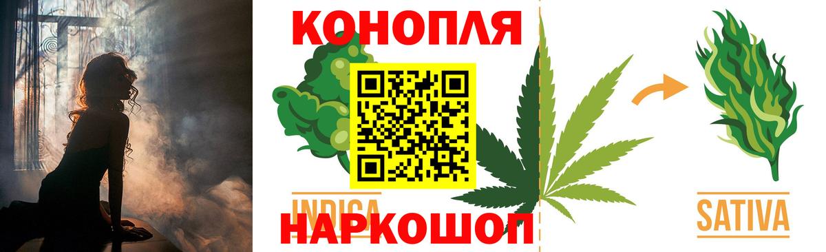 Бошки марихуана White Widow Карачаевск